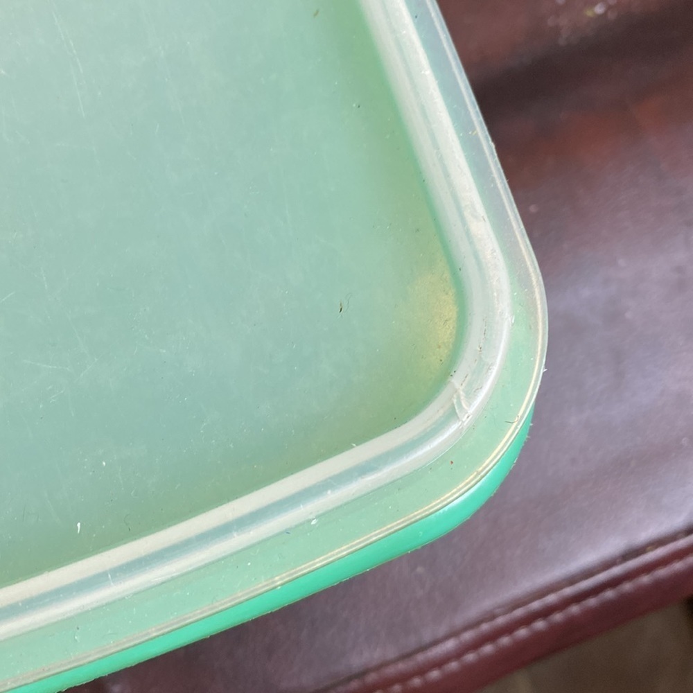 Tupperware celery keeper - Picture 9 of 10